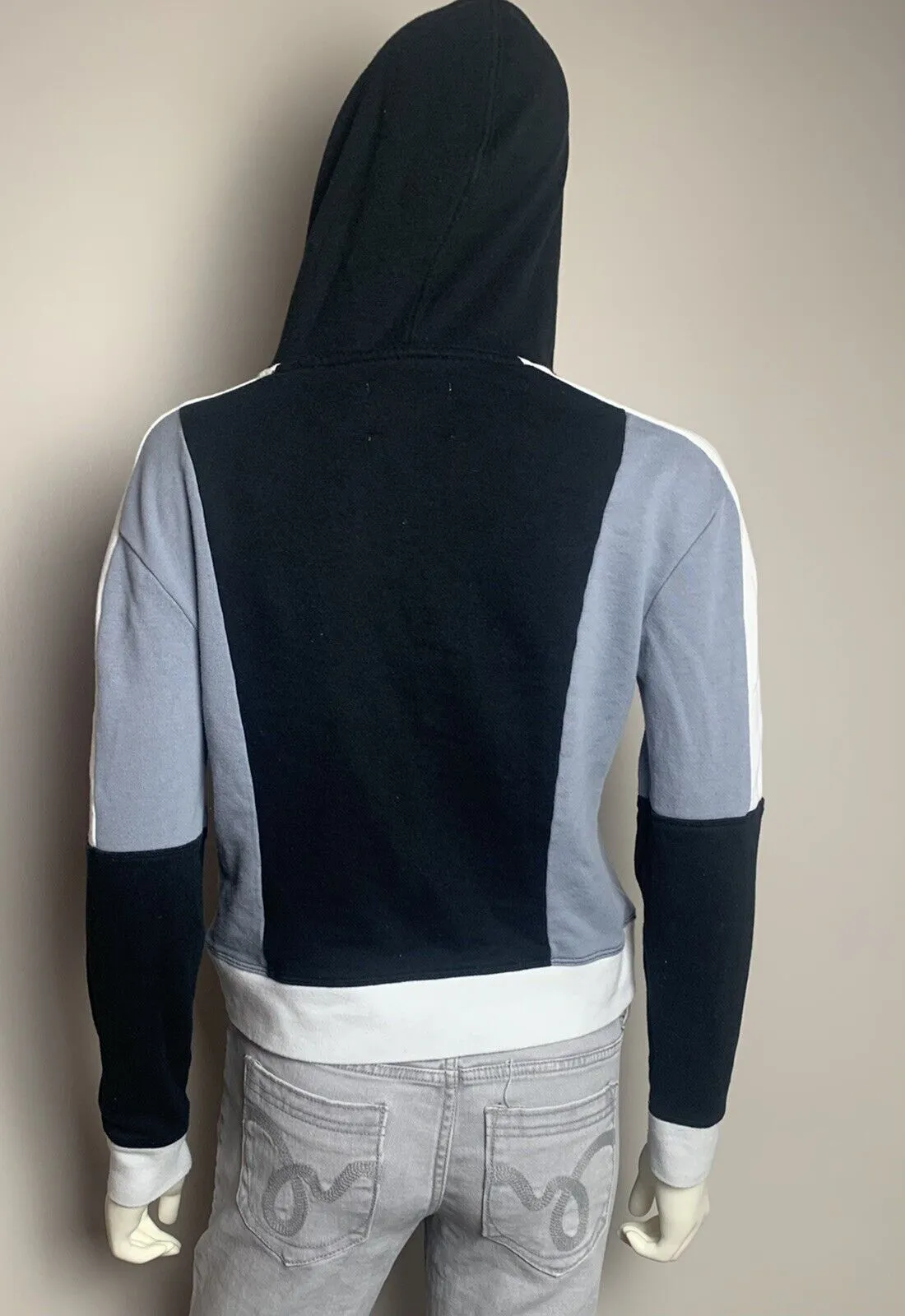 CHAMPION Reverse Weave Pastel Colorblock Hoodie Sweatshirt,