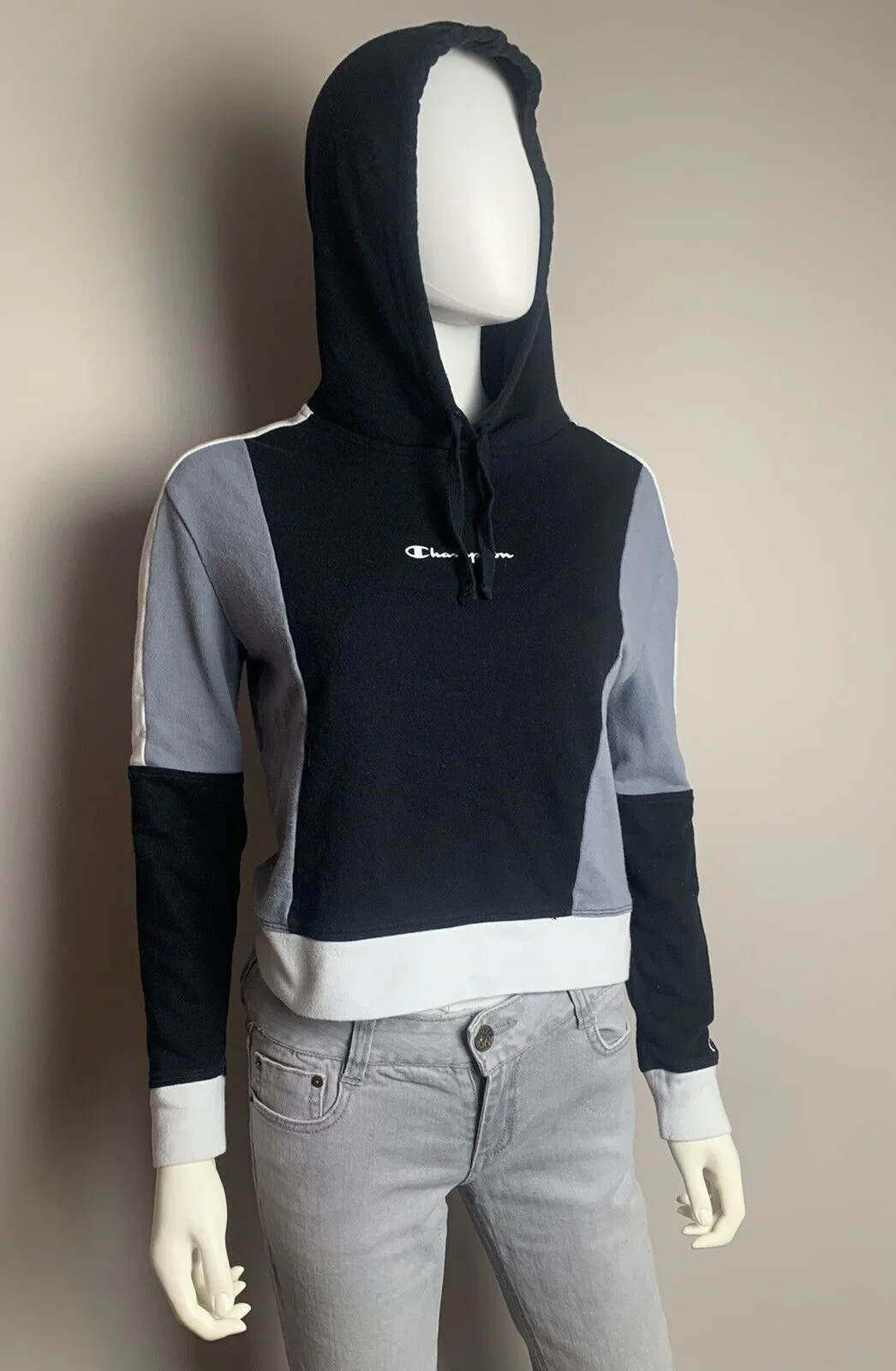 CHAMPION Reverse Weave Pastel Colorblock Hoodie Sweatshirt,