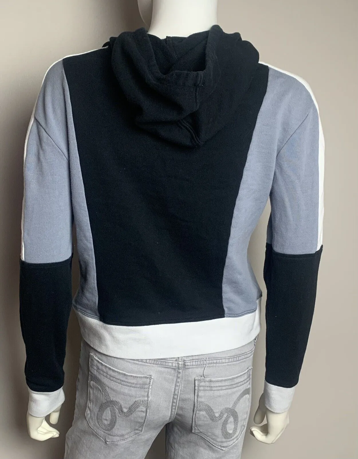CHAMPION Reverse Weave Pastel Colorblock Hoodie Sweatshirt,