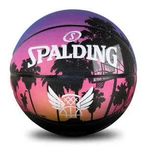 SPALDING FLIGHT VENICE BEACH