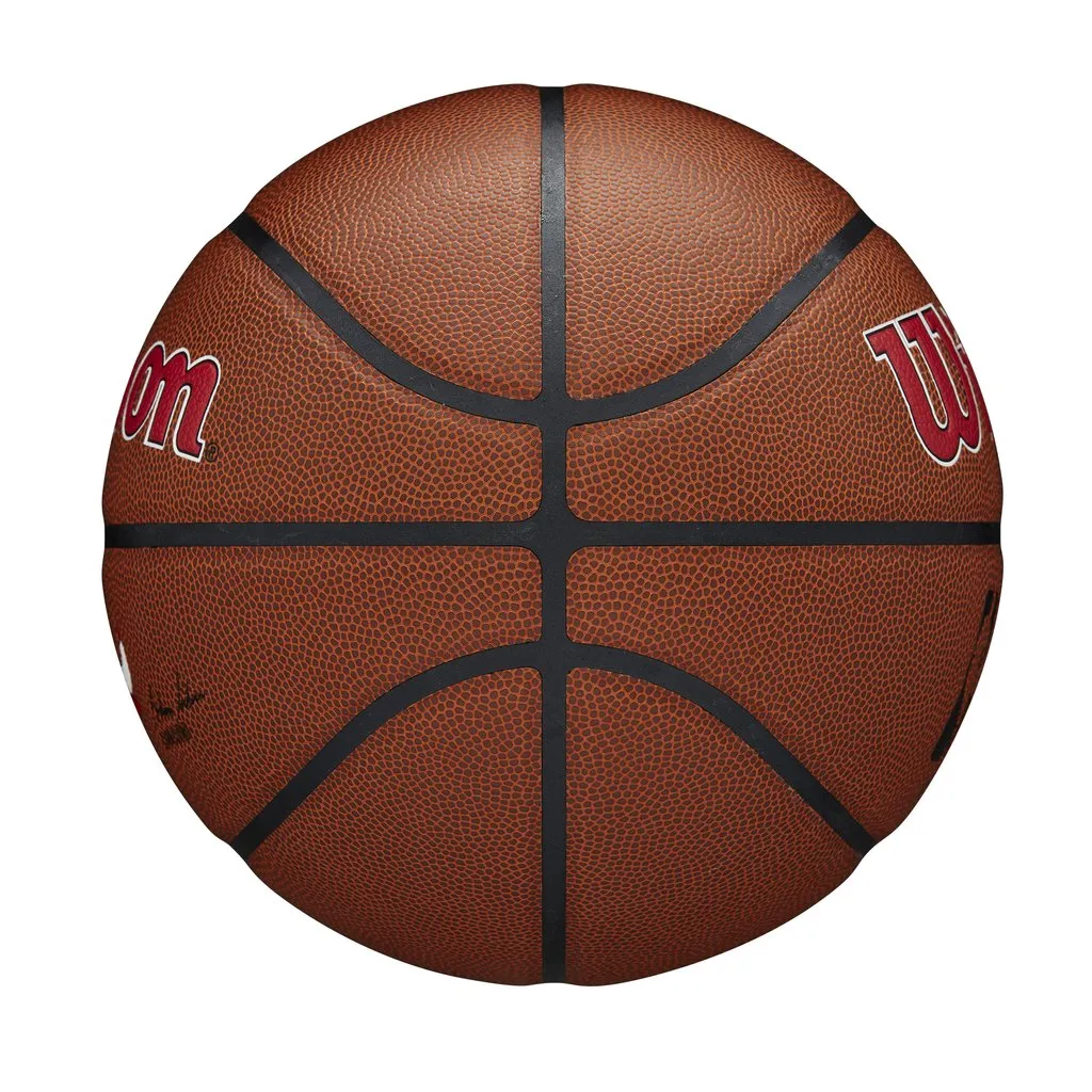 WILSON NBA TEAM COMPOSITE CHICAGO BULLS
