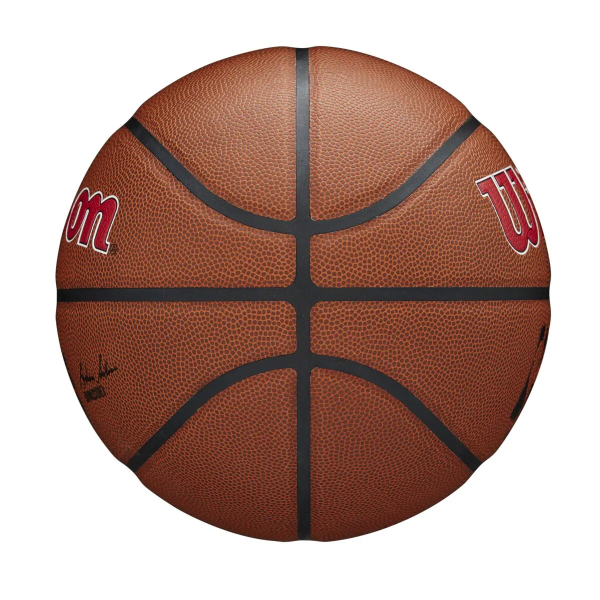 WILSON NBA TEAM COMPOSITE TORONTO RAPTORS